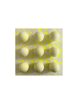 gobstoppers no.19